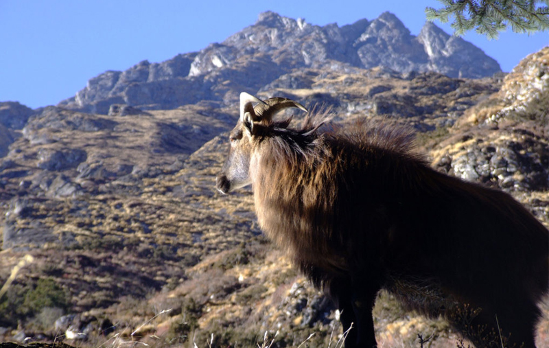 Upper Dolpo Trek